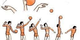 Волейбол. Верхня подача. | Урок на 3 завдання. Фізична культура